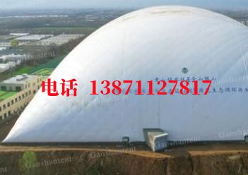 隆安气膜棚卷帘门,电动门
